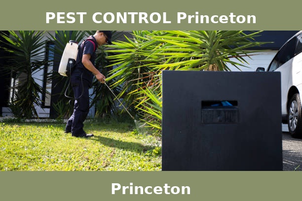 PEST CONTROL Princeton